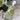 Plume Impresion Etat de Grace EDP