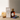 ph fragrance mistral fleur 